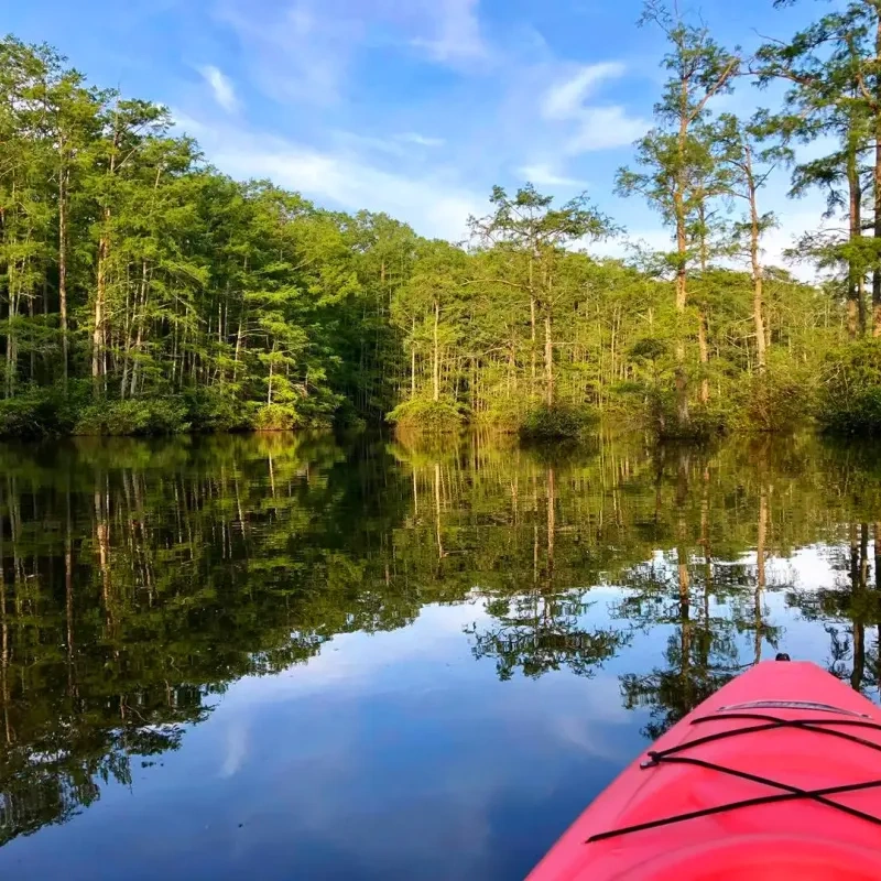 A vibrant pink kayak glides on a calm lake, bordered by lush green trees reflecting in the water, under a clear blue sky. Serene and tranquil scene.