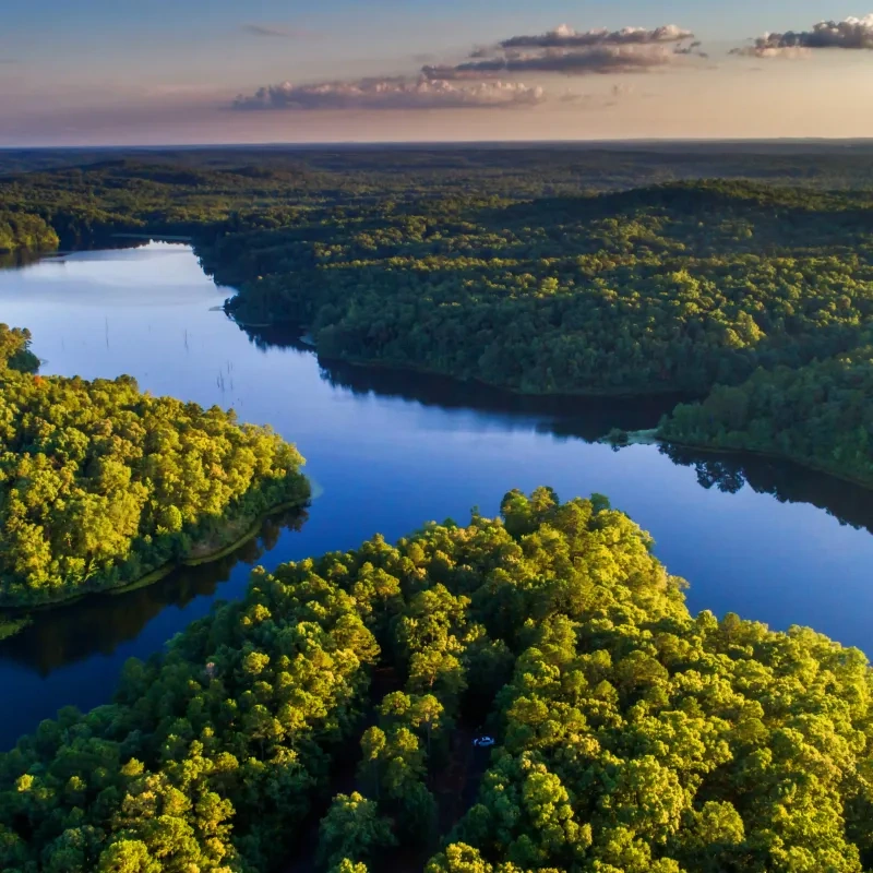Aerial view of a lush green forest surrounding a serene, winding river under a clear sky. Sunlight casts warm tones, enhancing the tranquil atmosphere.