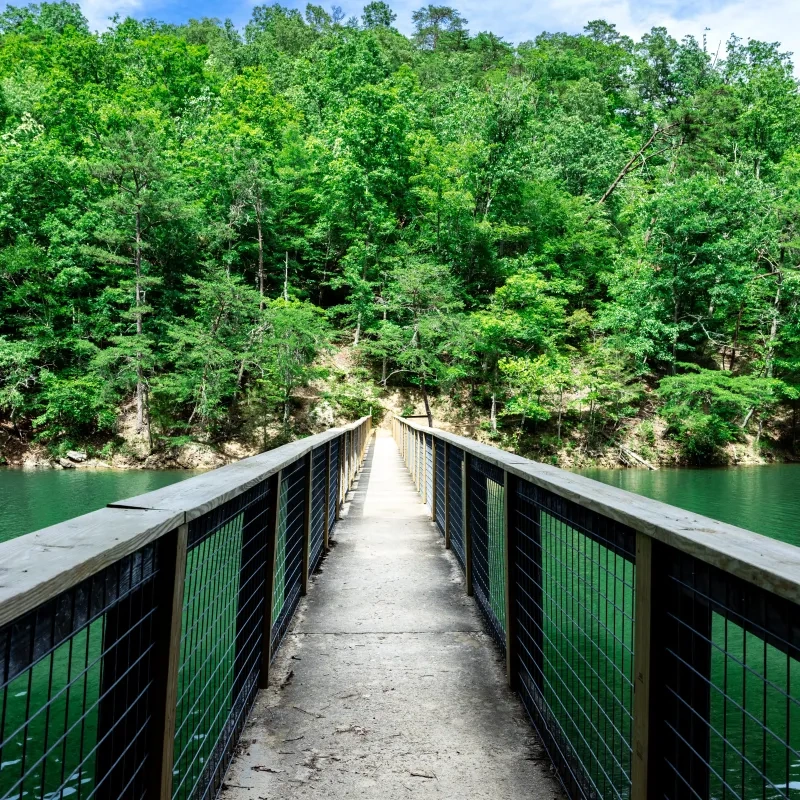 Bridge over water, leading to lush green forest under a blue sky.