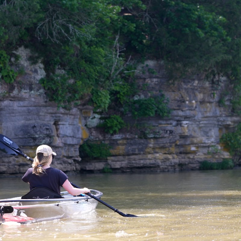 A kayaker going into a shady area of a wide lake.
