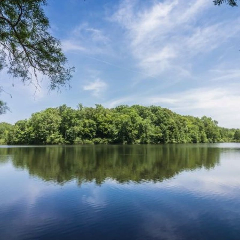 Calm lake reflecting green trees and a clear blue sky.
