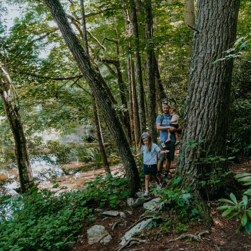 Man carrying a toddler and walking with an older child along a narrow, tree-lined forest path next to a calm lake.