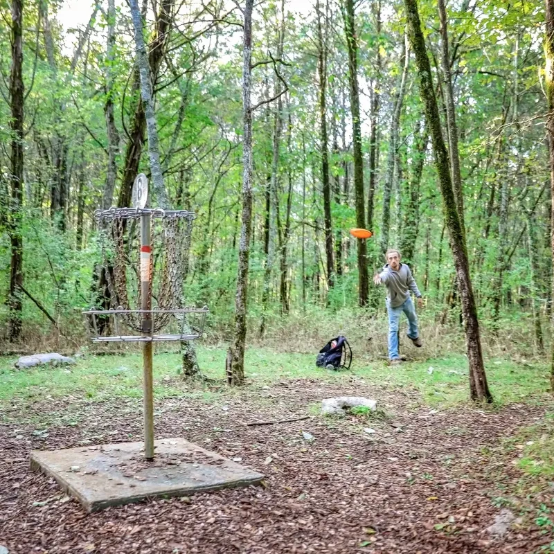 Person playing disc golf in a forest, throwing an orange disc toward a metal basket.