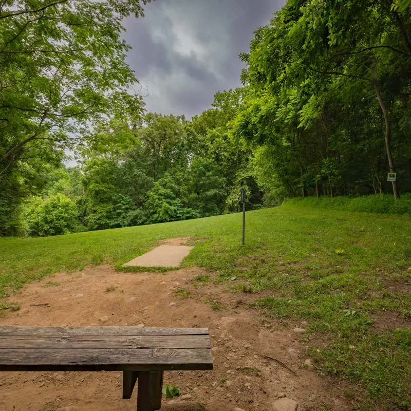 Wooden bench facing a grassy clearing, surrounded by dense green trees. Cloudy sky above.