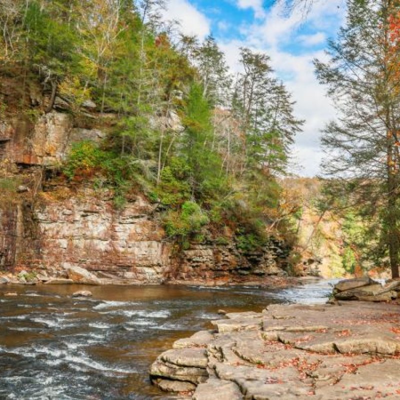 A serene river flows through a rocky canyon lined with lush trees. Autumn leaves add vibrant orange touches, creating a peaceful, natural scene.