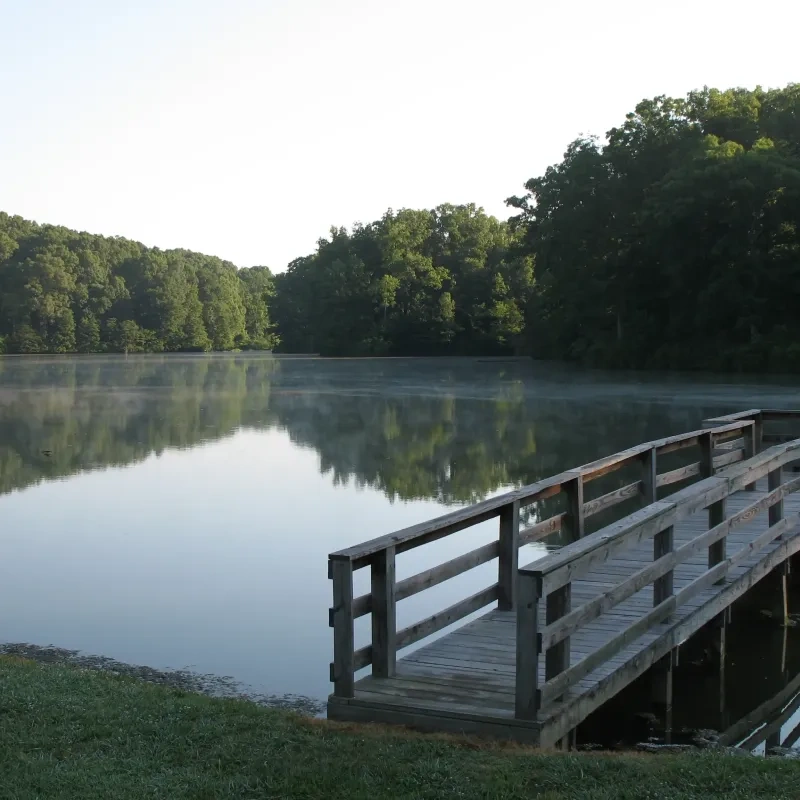 Wooden dock by a calm lake surrounded by lush green trees.