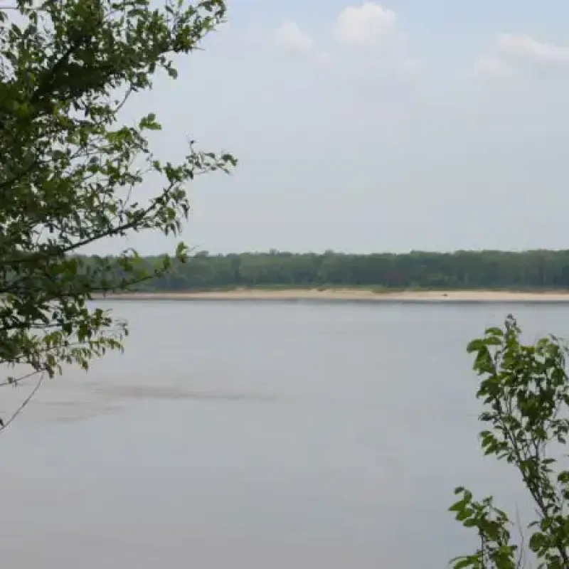 A serene river scene with calm waters framed by lush green trees on the sides. The horizon shows a distant forest under a partly cloudy sky.