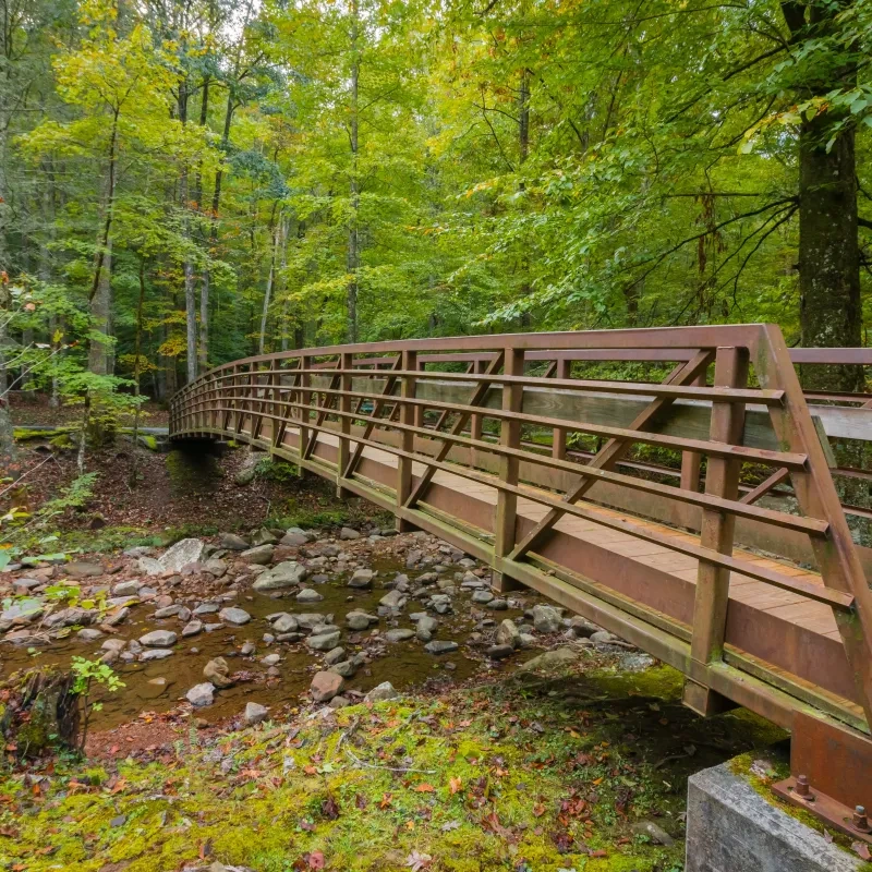 A wooden footbridge spans a rocky creek in a lush forest, with vibrant green leaves suggesting early autumn. The scene feels serene and inviting.