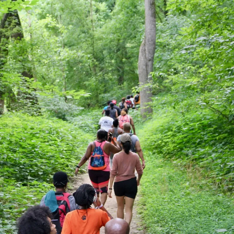 A group of people hike along a lush, narrow forest trail surrounded by vibrant green foliage. The scene conveys a sense of adventure and camaraderie.