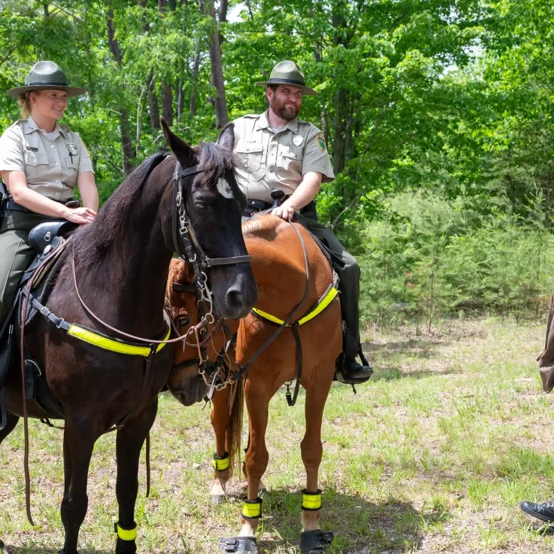 Two park rangers on horseback talking to a man in a wooded area.