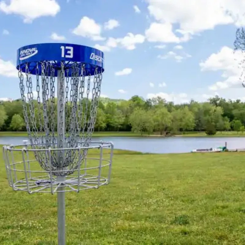 Disc golf basket in a grassy park near a pond, surrounded by trees.
