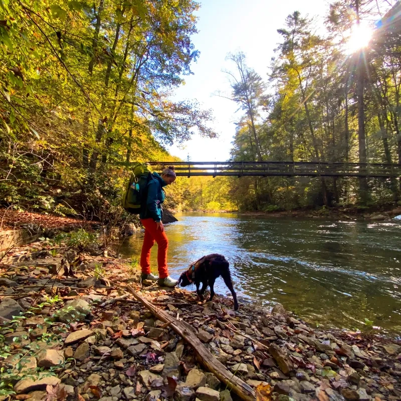 Hiker and dog by a river under a sunny sky with trees and a bridge in the background.