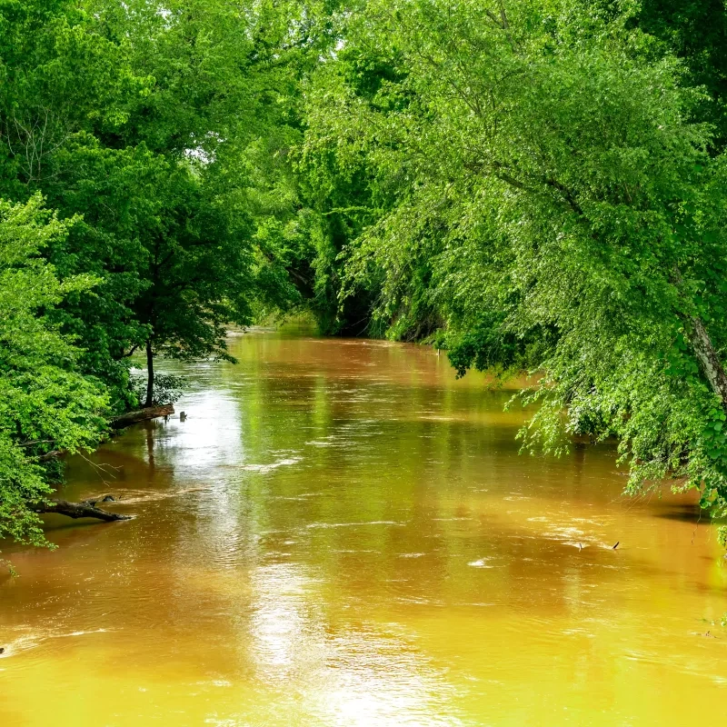 Calm, muddy-brown river flowing between dense green trees in a summer landscape.