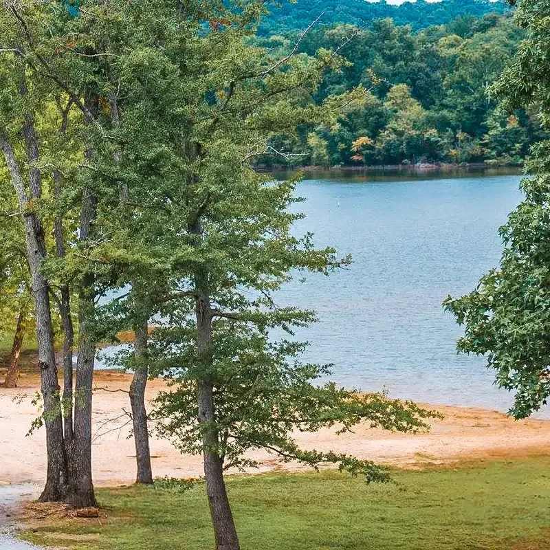 A sandy swimming beach surrounded by grassy areas and tall trees, with a lake in the background.