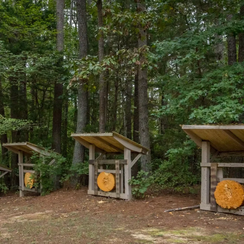 Archery target range at Natchez Trace State Park with multiple targets set in an open grassy area.