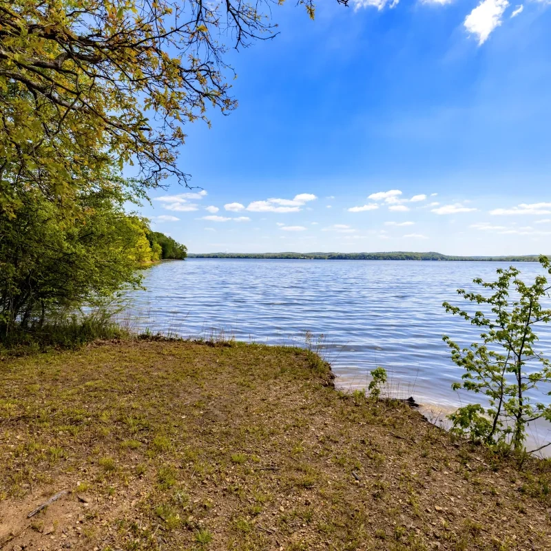 Lakeside view with trees, grassy shore, and blue sky with clouds.