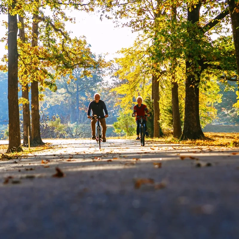 Two people biking on a sunlit path through autumn trees.