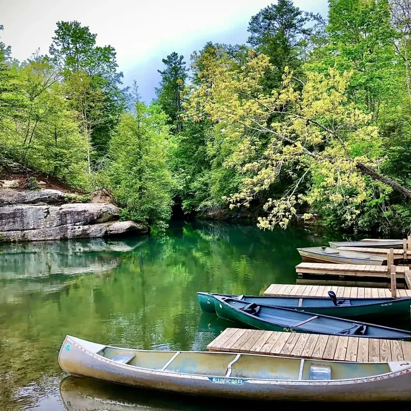 Canoes docked on a serene lake surrounded by lush green forest.
