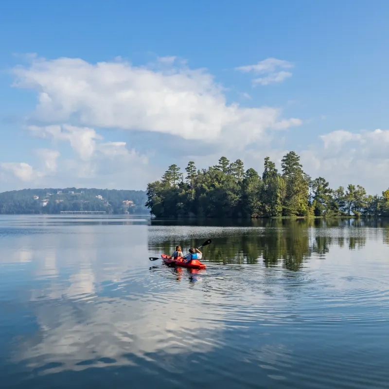 Kayakers on calm lake, forested island in background under a bright blue sky.