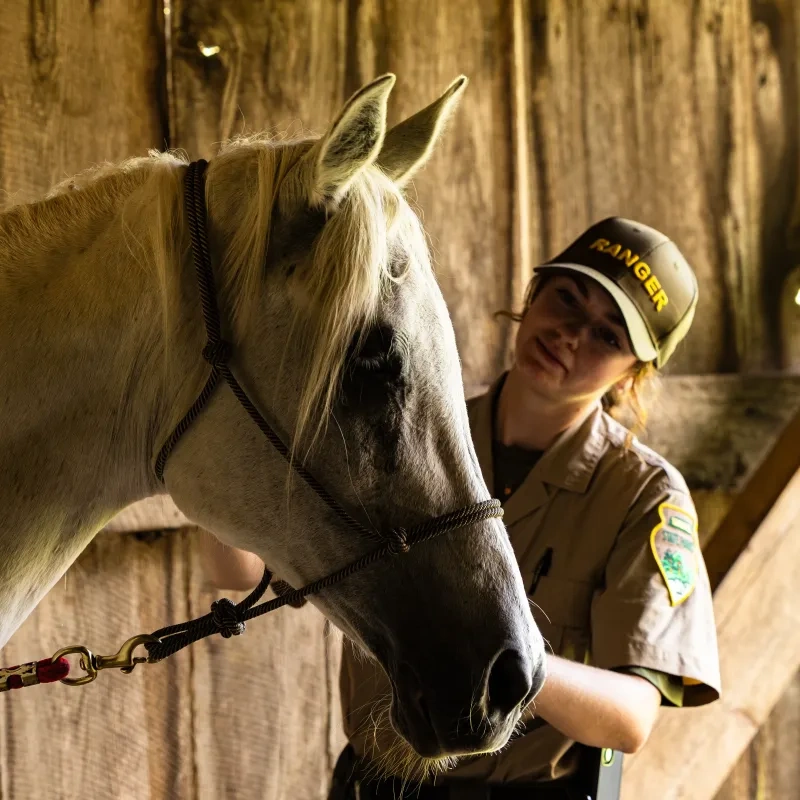 Ranger standing beside a white horse in a rustic barn setting.