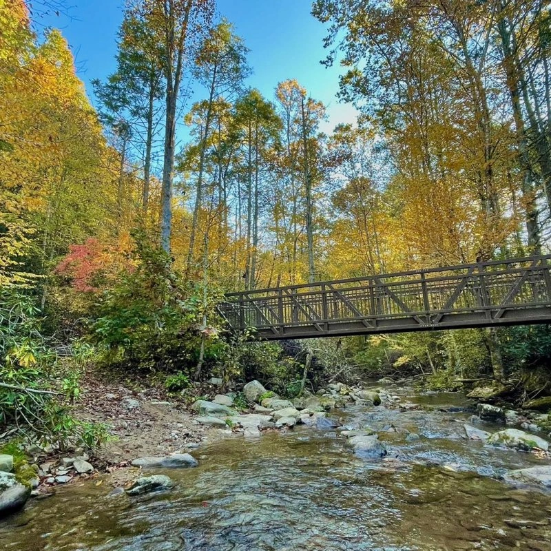 Wooden bridge over a clear stream, surrounded by colorful autumn trees.
