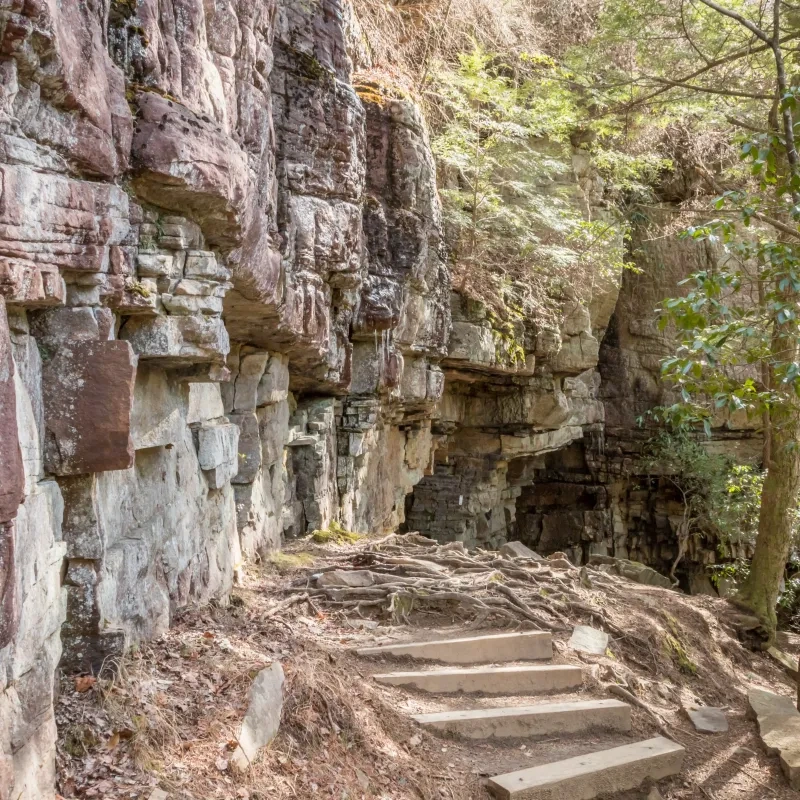 Rocky cliffside with layered formations and a narrow dirt path featuring embedded stone steps. Sunlight filters through sparse green foliage. Rustic and serene.