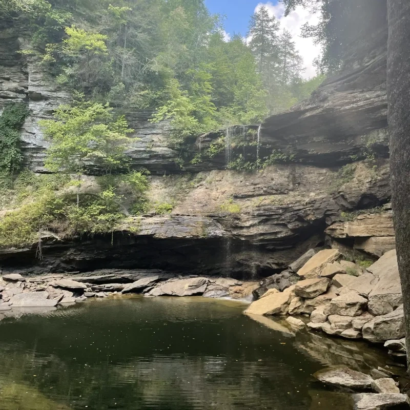 Waterfall over rocky ledge into a calm pond, surrounded by lush green trees.
