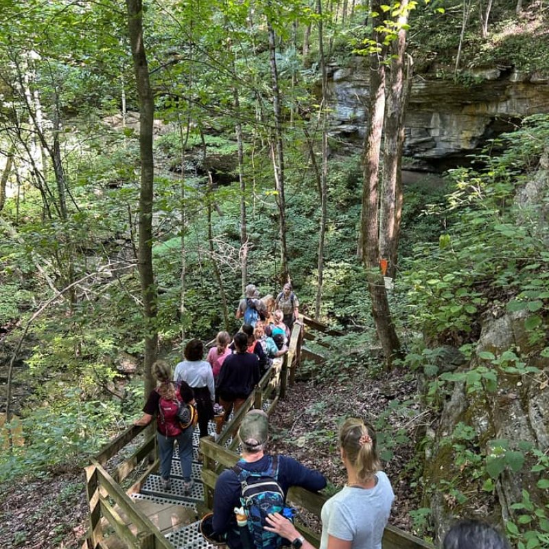 A group of hikers descends a wooden staircase through a lush forest. Sunlight filters through the trees, creating a serene and adventurous atmosphere.