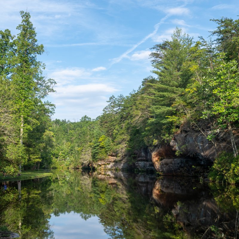 lake surronded by pines