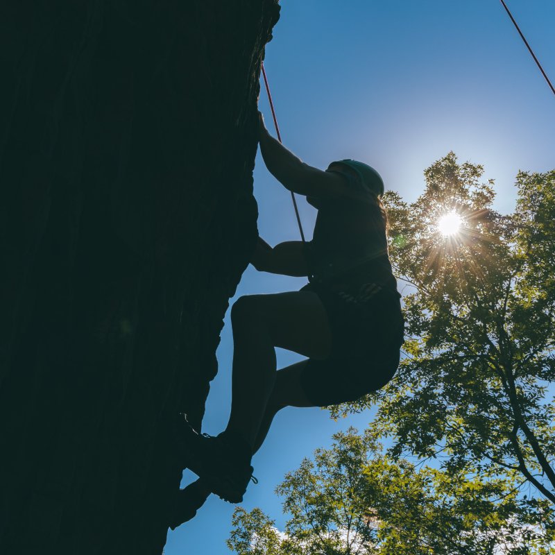 Silhouette of a rock climber scaling a cliff with a bright sun and tree in the background, conveying determination and adventure.