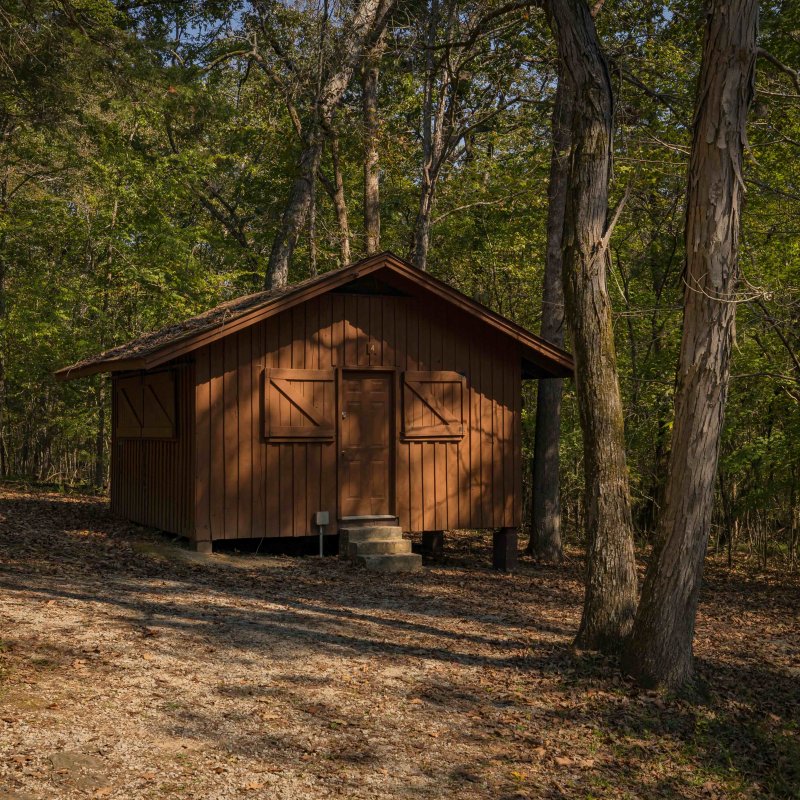 A small, brown wooden cabin stands in a sunlit forest. Surrounding trees cast dappled shadows, evoking a peaceful, secluded atmosphere.