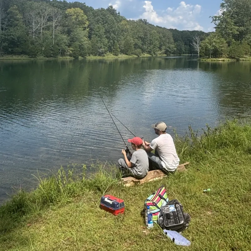 Two people fishing by a lake, surrounded by trees and grass, on a sunny day.