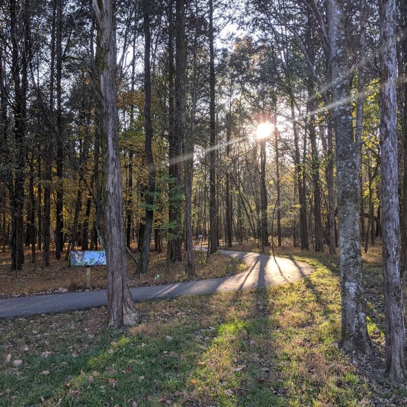storybook trail with the sun peeking through the treelike
