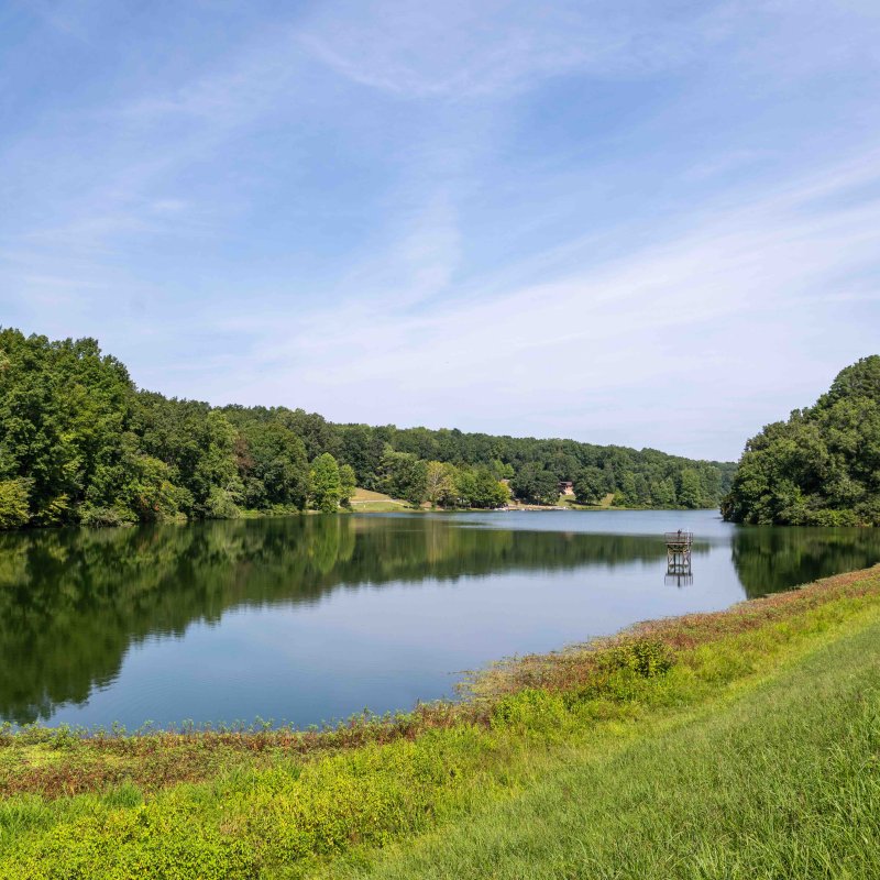 view of lake from some grass with trees along the lake's edge