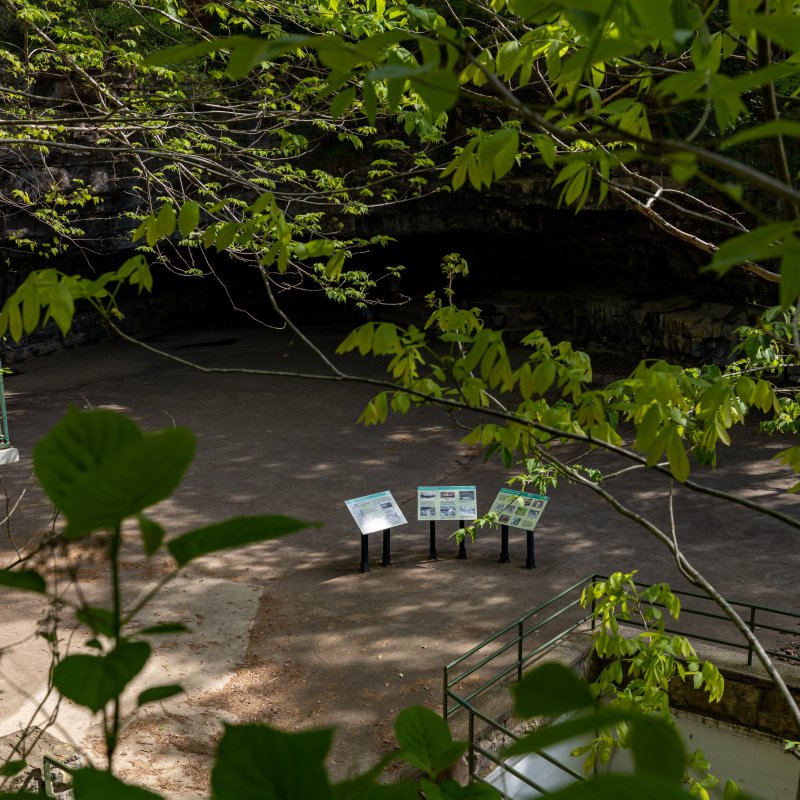 View of a cave entrance surrounded by lush green leaves, with three informational signs in front. The scene conveys tranquility and nature exploration.