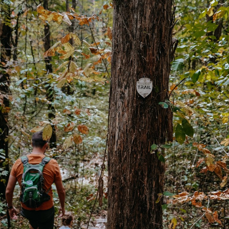 Man and child walking down a forest trail. The man carries a green backpack. A tree marked with a "Trail" sign is central. Autumn leaves surround them.