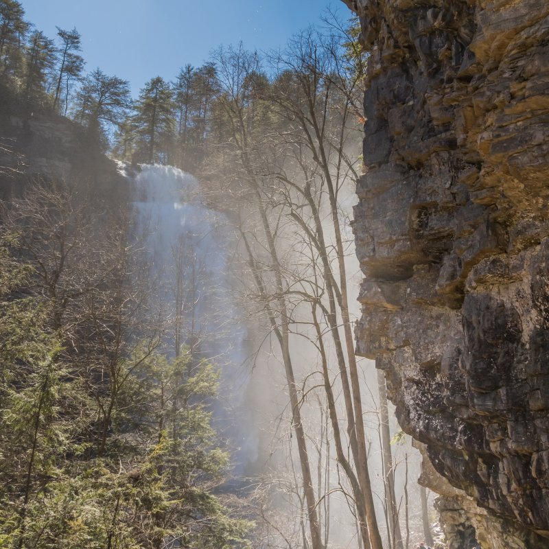 A majestic waterfall cascades down a rocky cliff surrounded by tall trees. Sunlight beams through the mist, creating a serene, ethereal atmosphere.