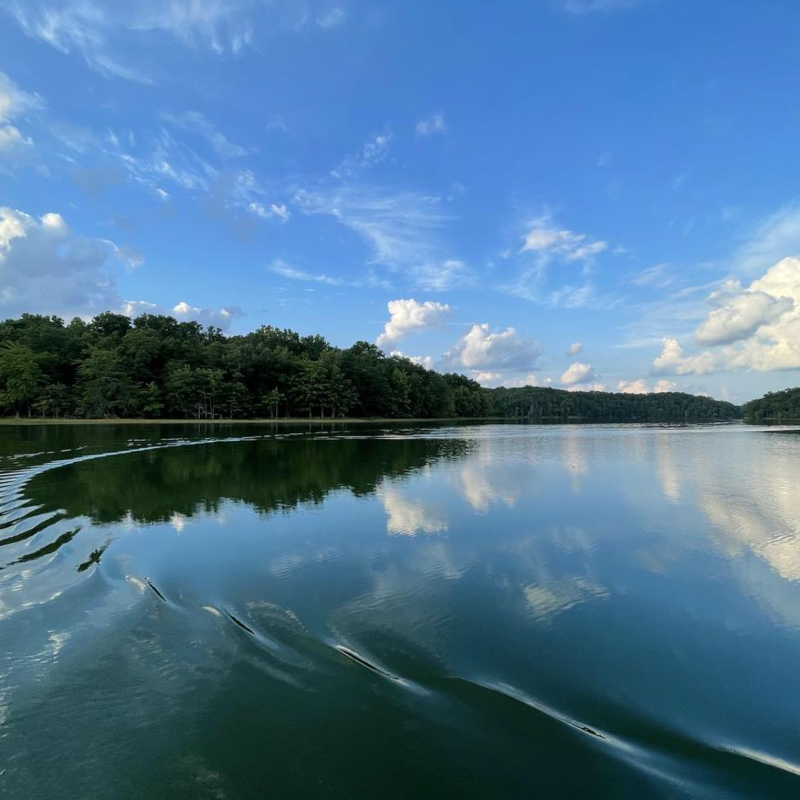 Calm lake reflecting a vibrant blue sky with fluffy clouds. Ripples cascade on the water's surface, bordered by a lush, tree-lined shore. Tranquil scene.