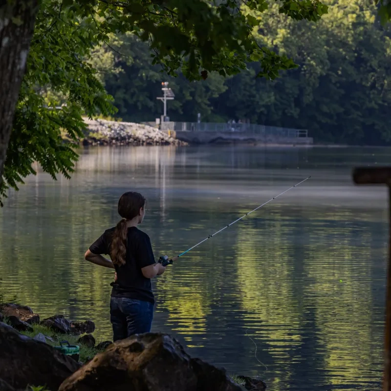 Person fishing by a calm, tree-lined river.