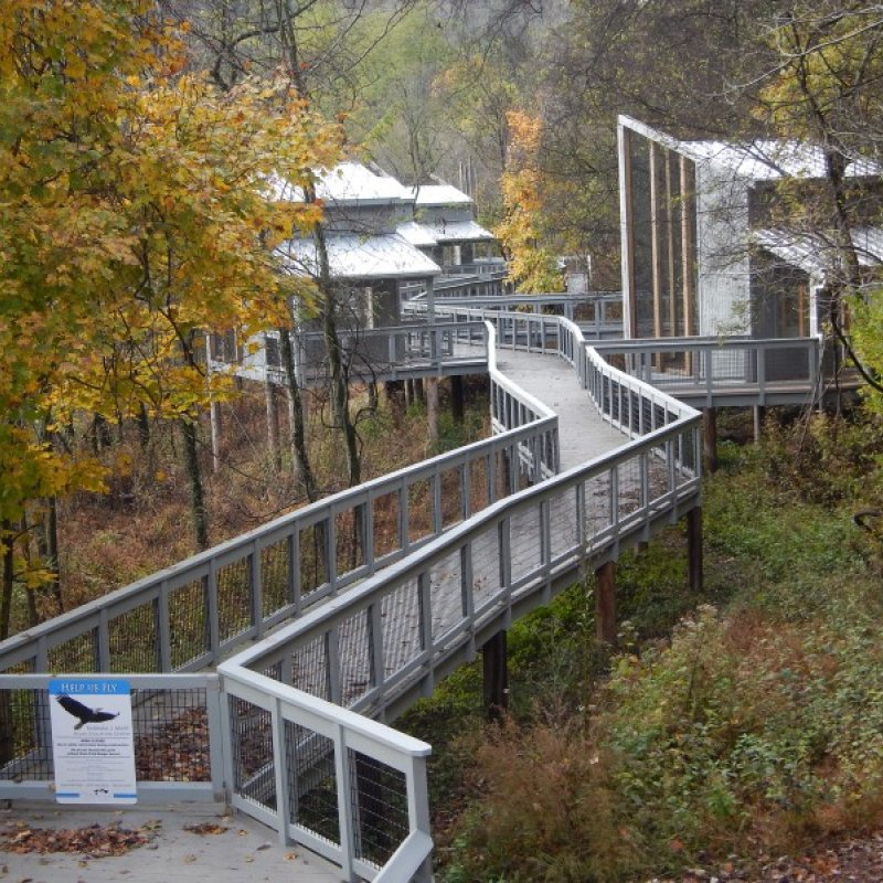 e Barbara J. Mapp Aviary Education Center 