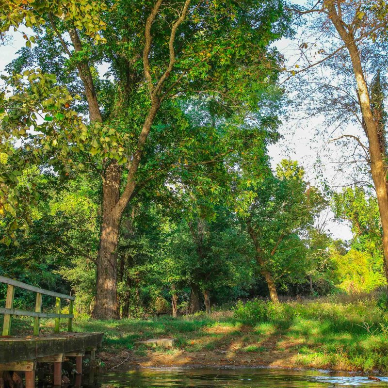 view of wooden dock and natural trail that leads into trees