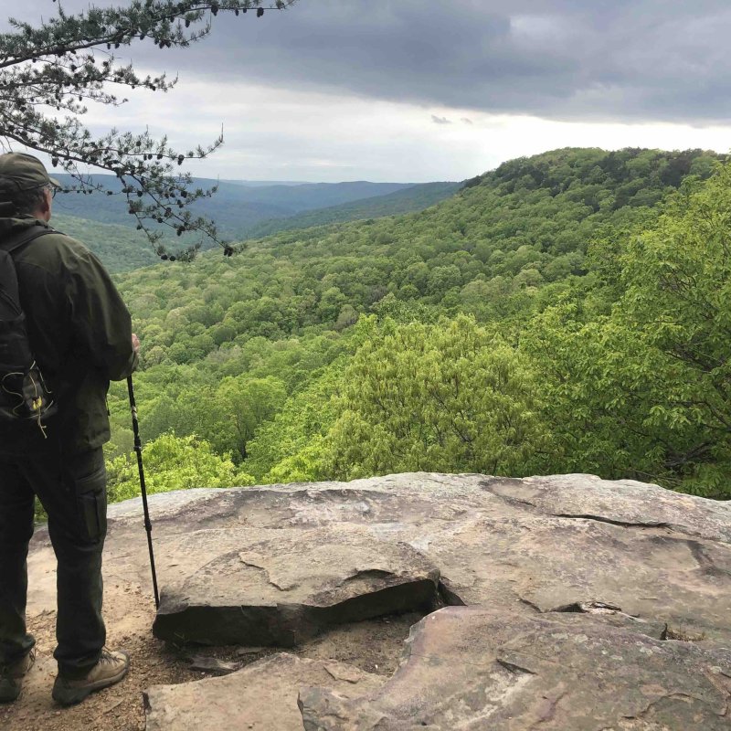 man standing with a hiking bag and hiking stick looking over a cliff looking at forest