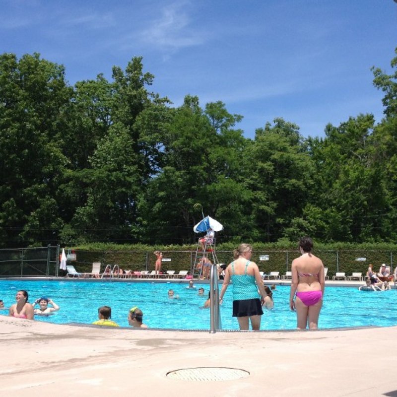 People enjoy a sunny day at an outdoor swimming pool surrounded by lush trees. Adults and children swim and relax, with a lifeguard on duty, creating a lively and carefree atmosphere.