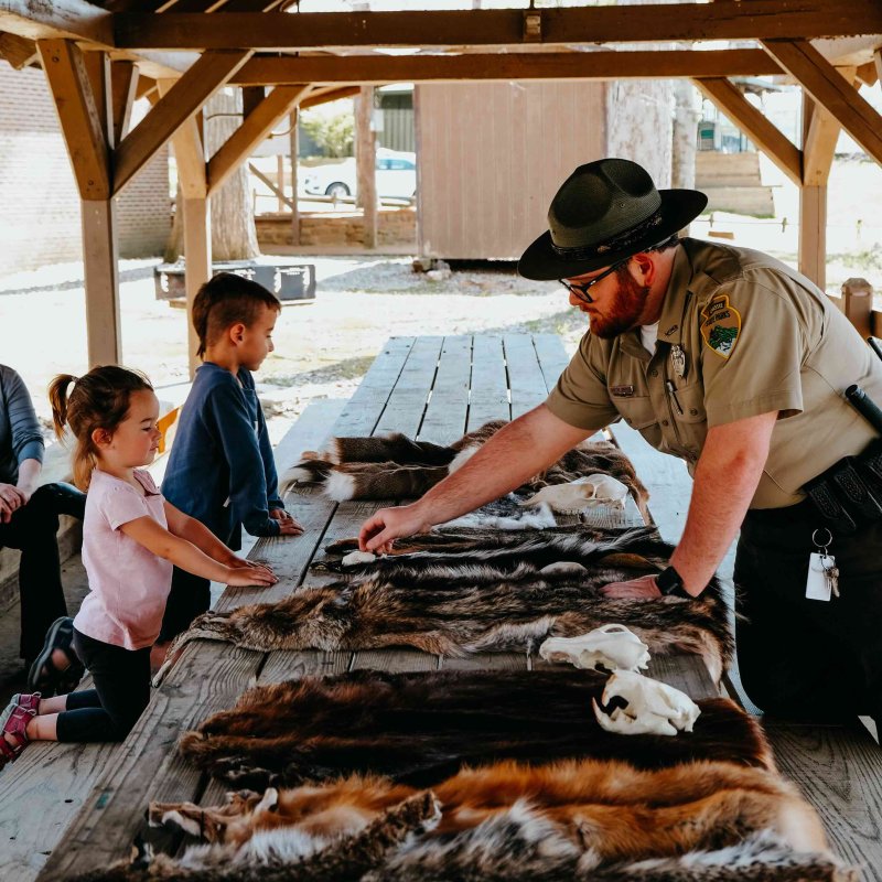 A park ranger in uniform shows animal pelts and skulls to two curious children under a wooden pavilion. The scene conveys educational engagement.