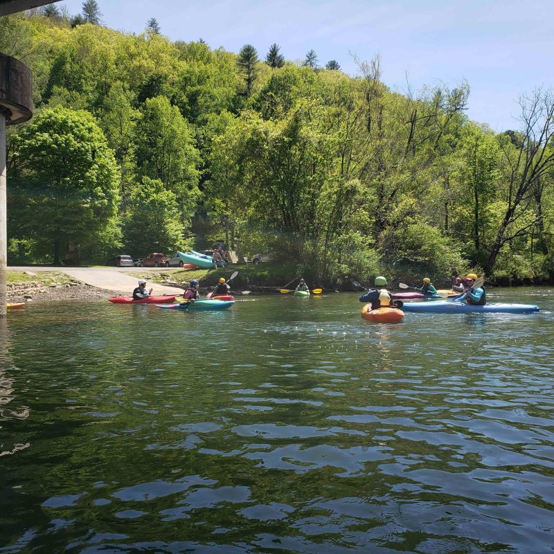 Group of people paddling in a lake, near land, under a bridge