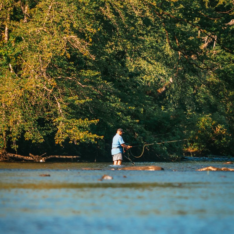 Man fishing in shallow river with lush green forest in background.