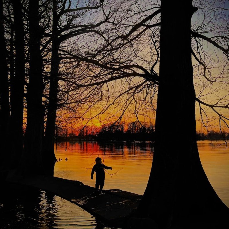 Silhouette of a person by trees at sunset, with vibrant orange sky reflected in water.