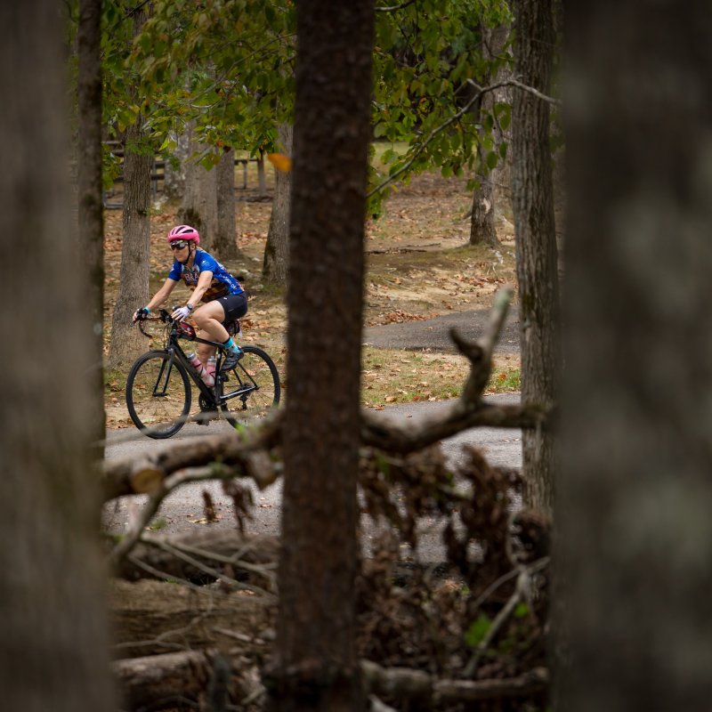 Cyclist on a forest path, framed by tree trunks.