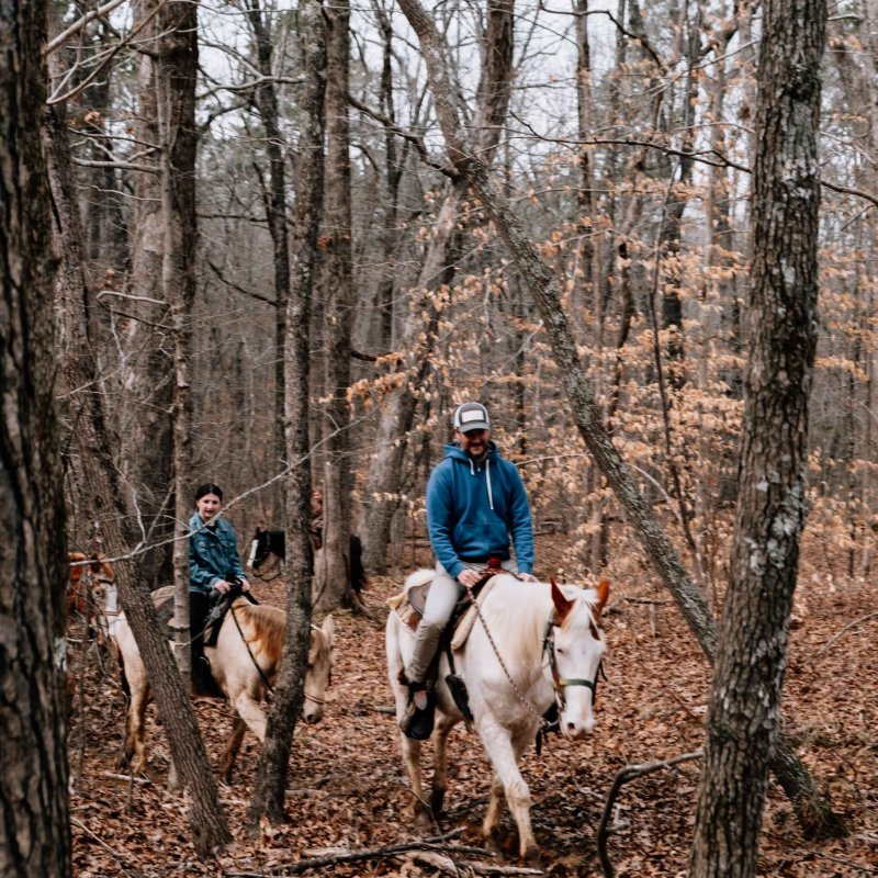 Two people horseback riding in a leafless forest.
