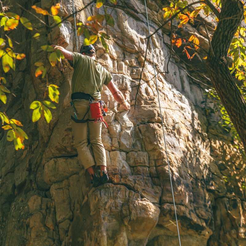 Rock climber ascending a sunlit cliff, surrounded by leafy branches.